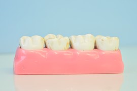 tooth